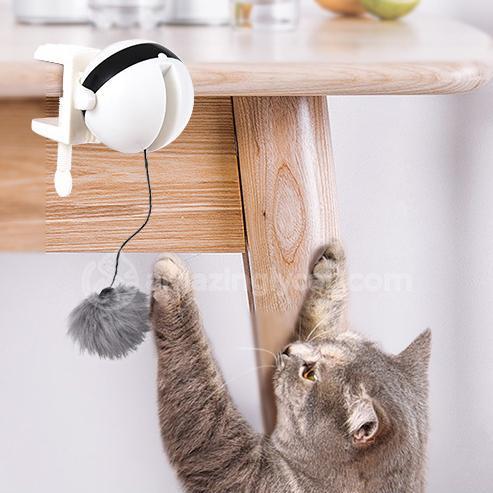 Interactive Ball Cat