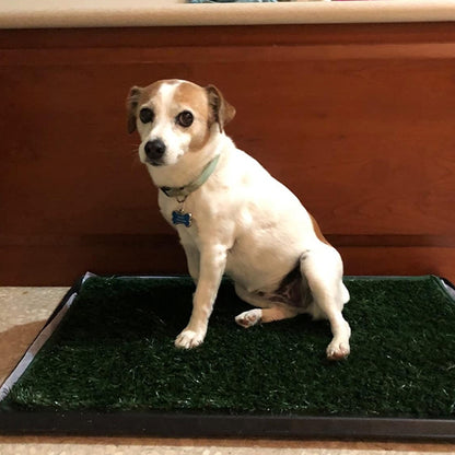 Dog Pee Drainage Turf Pad