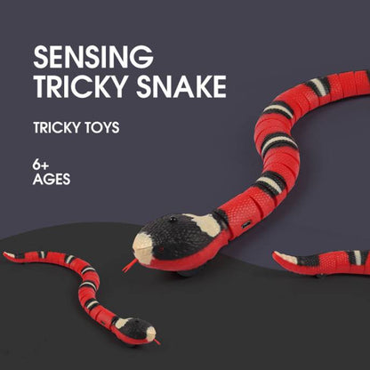 Interactive Electric Snake