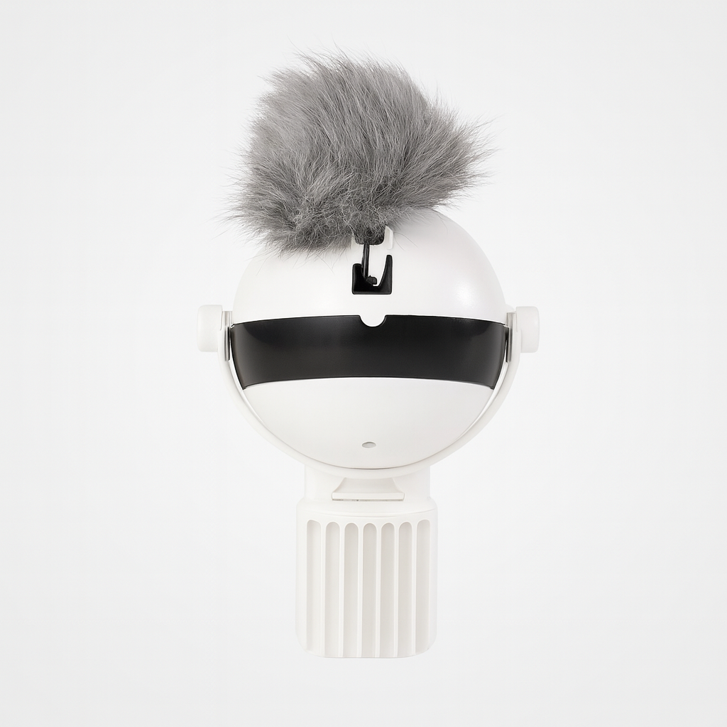 Interactive Ball Cat