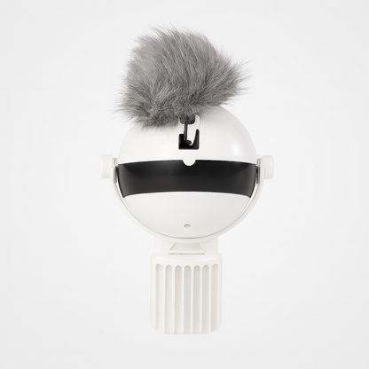 Interactive Ball Cat